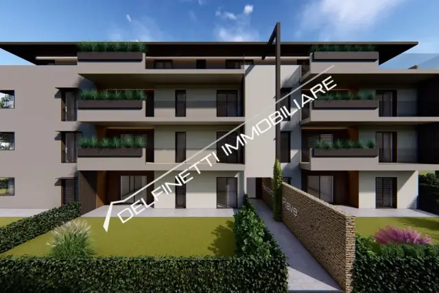 insertion image
