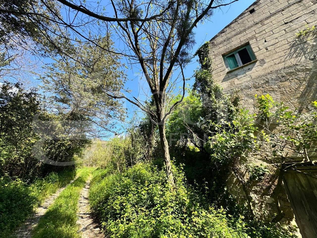 immagine annuncio 6 di 9