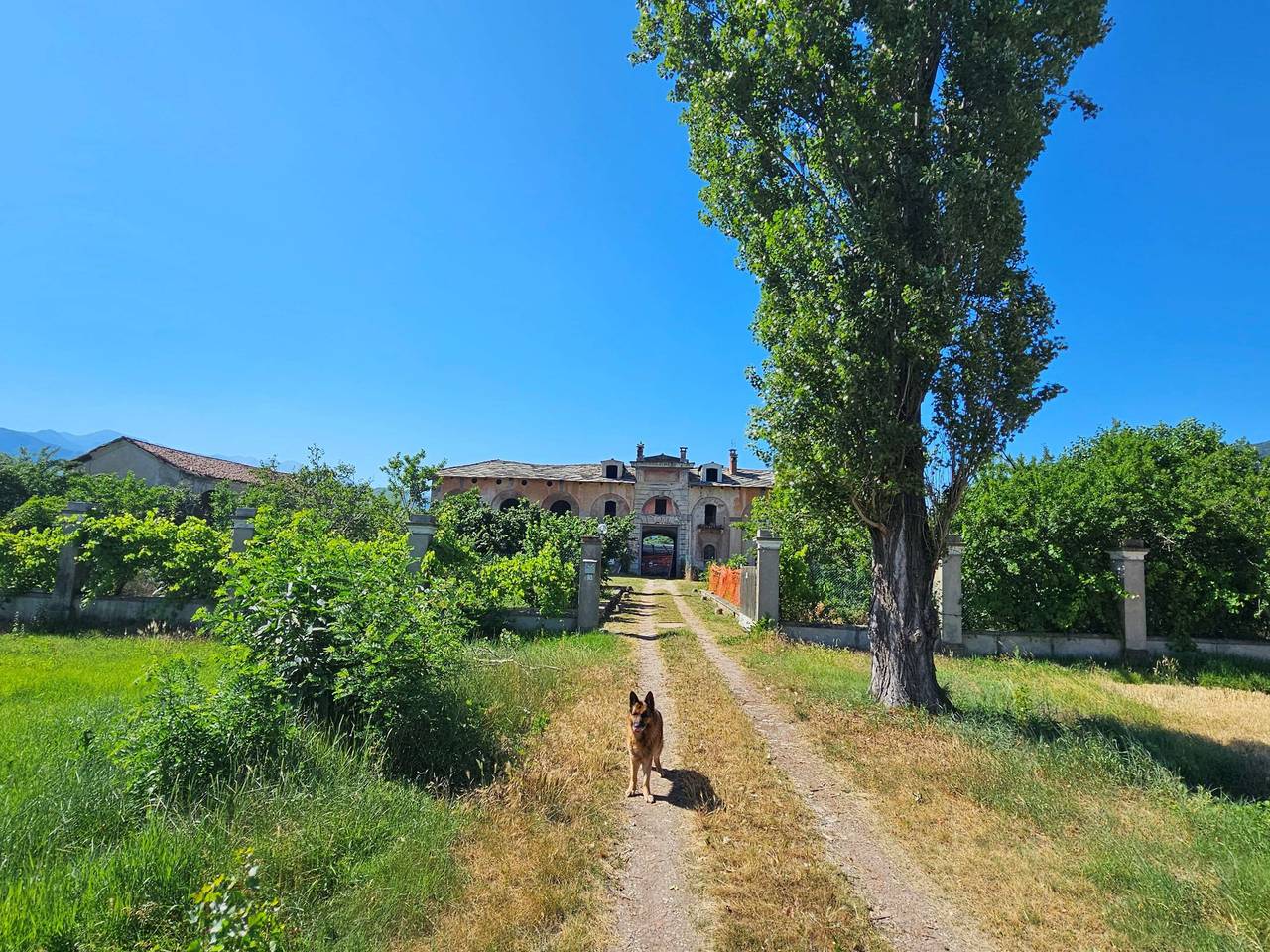 immagine annuncio 6 di 15