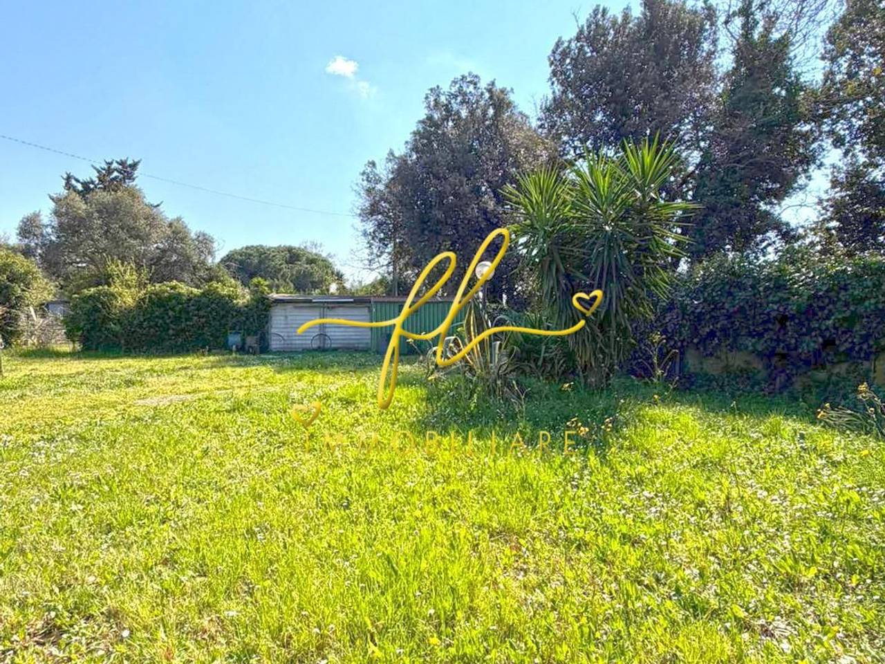 immagine annuncio 2 di 3