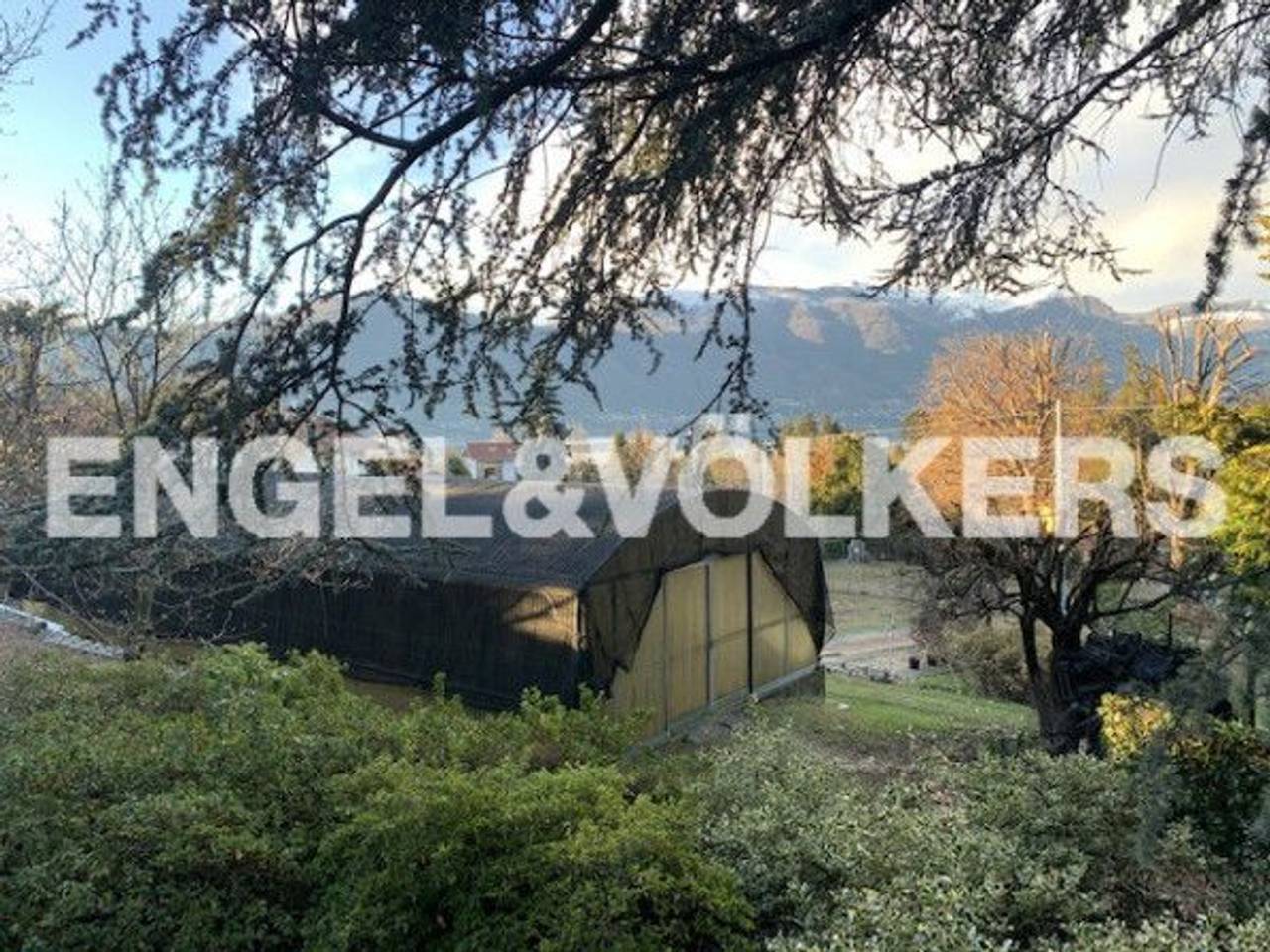 immagine annuncio 5 di 12