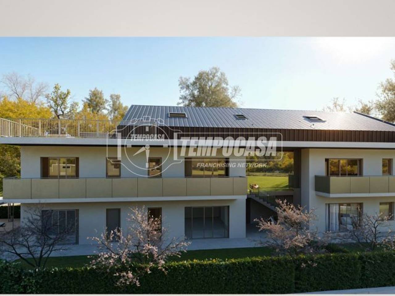 immagine annuncio 5 di 11