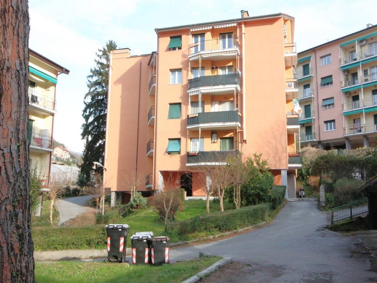 immagine annuncio 2 di 15