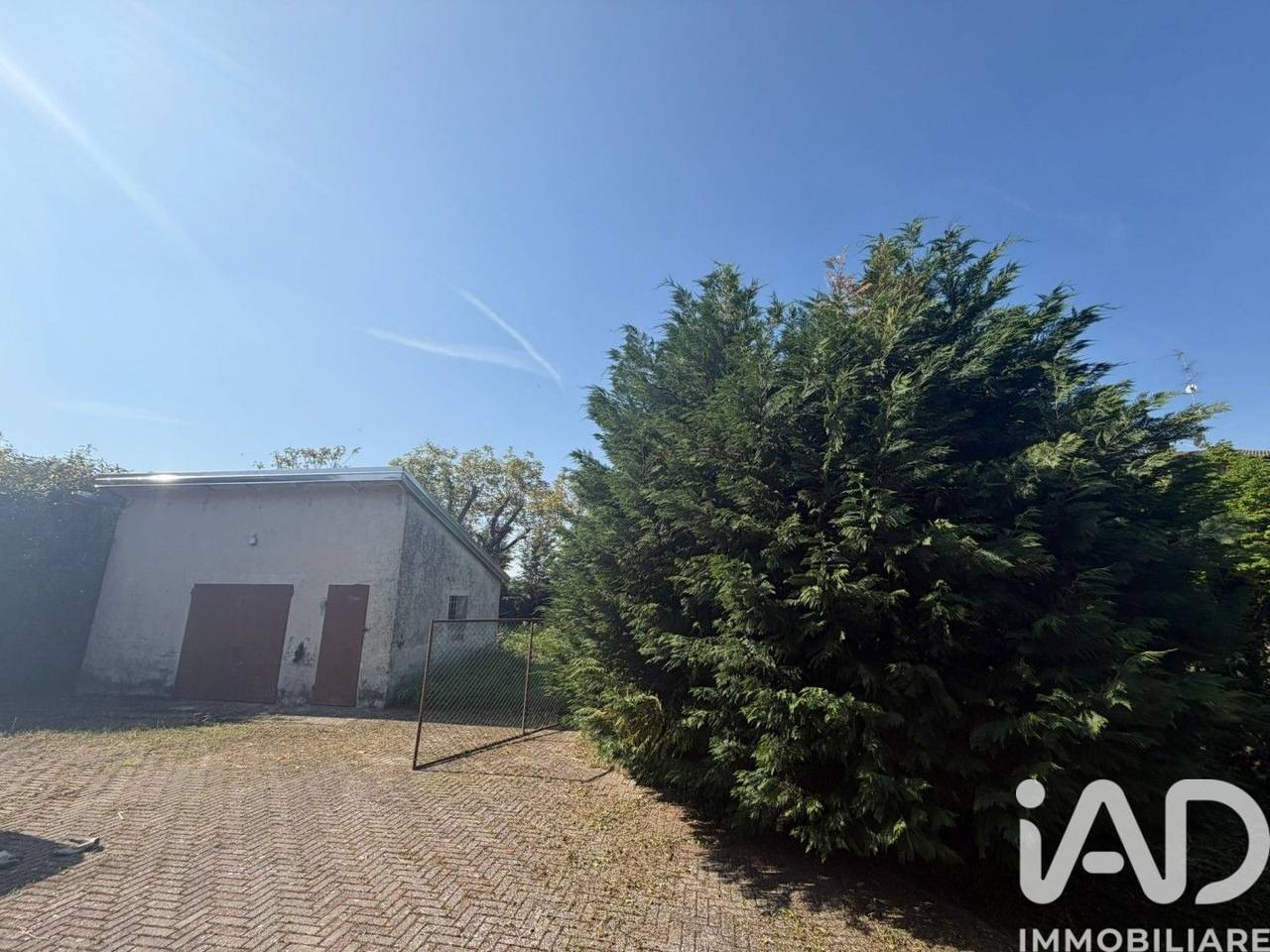 immagine annuncio 2 di 8