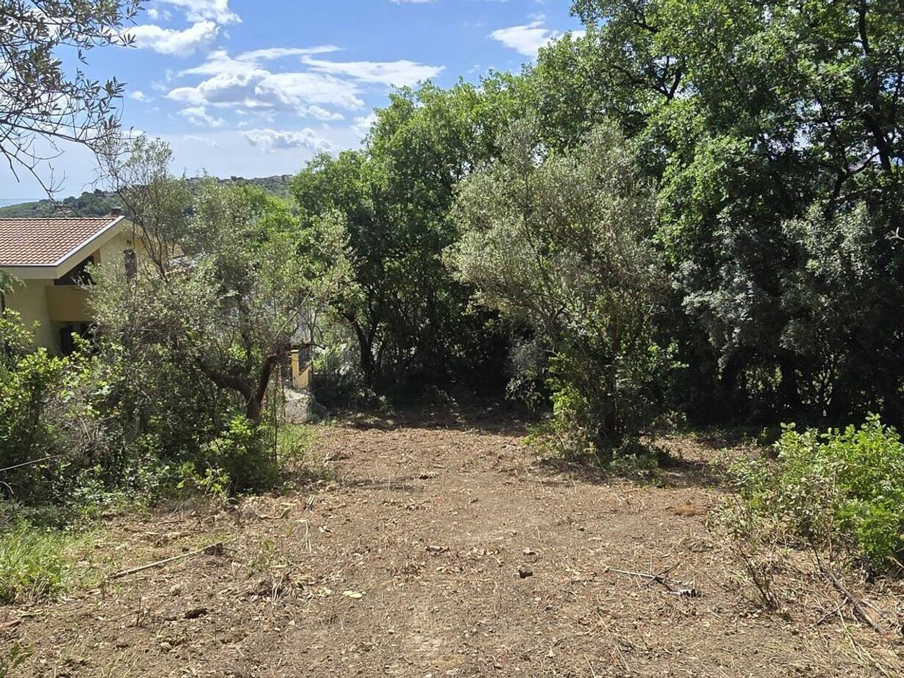 immagine annuncio 13 di 14