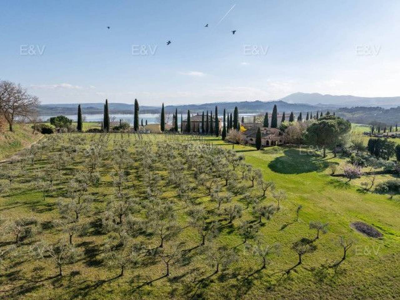 immagine annuncio 10 di 11