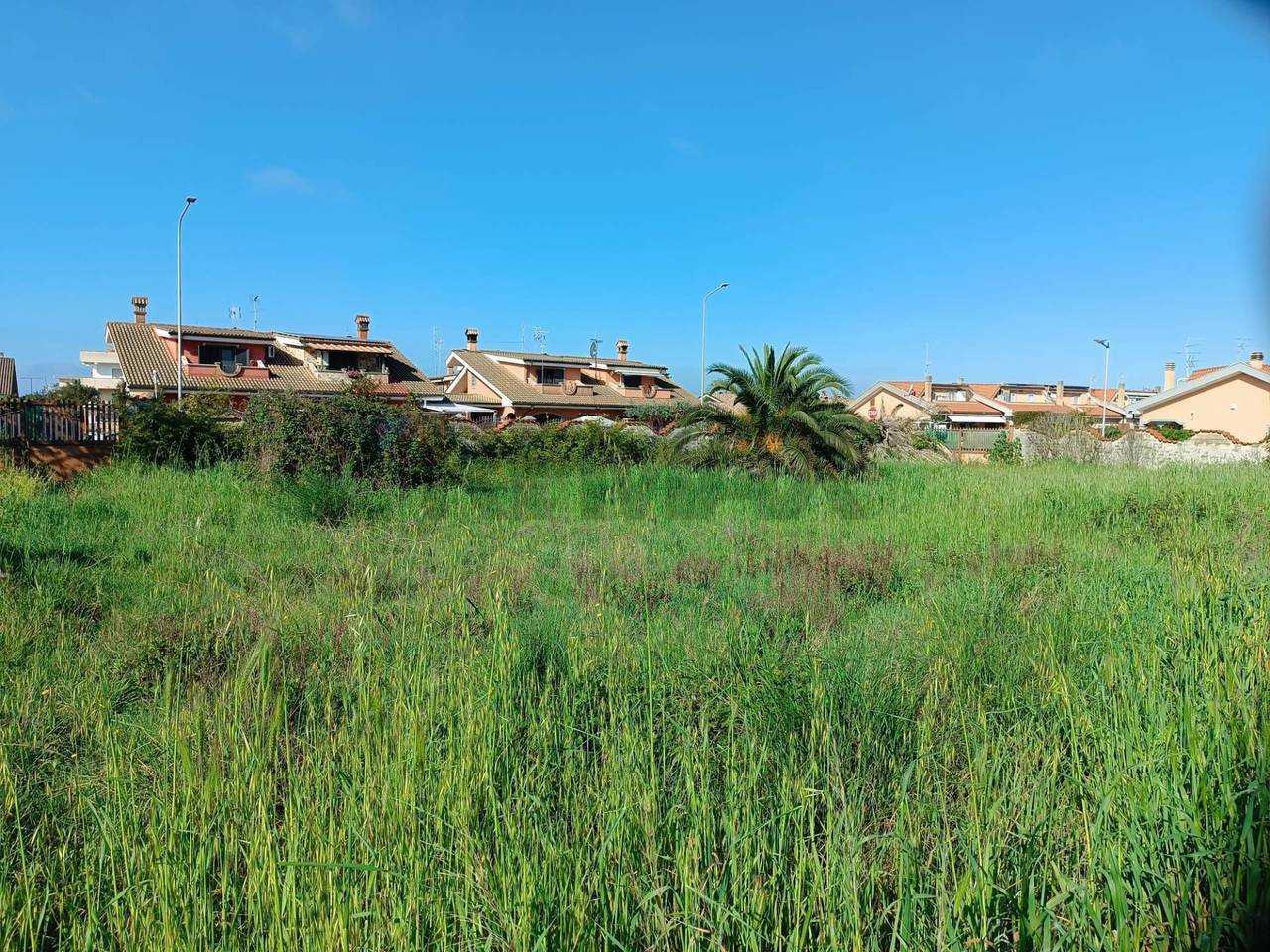 immagine annuncio 10 di 12