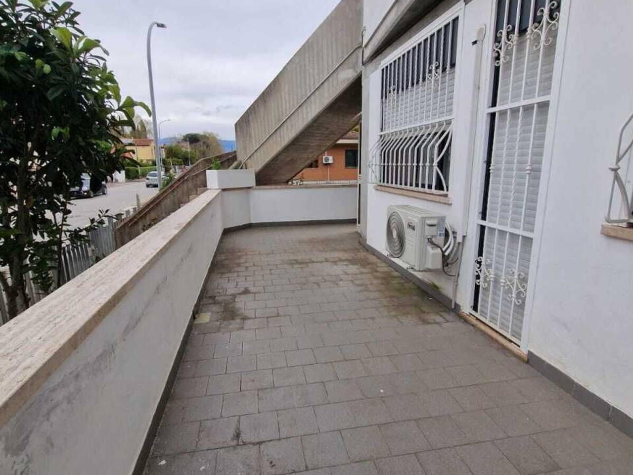 immagine annuncio 12 di 14