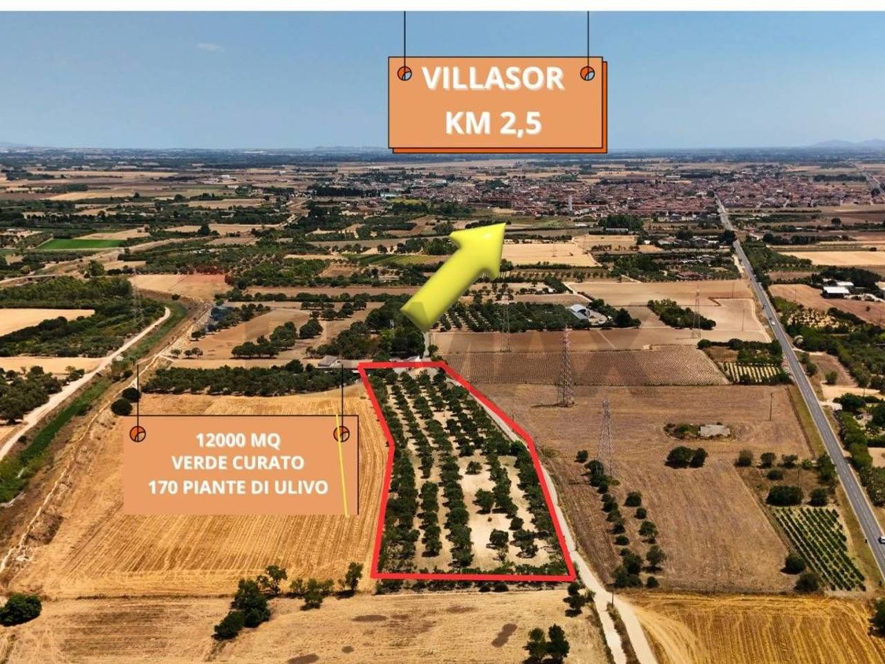 immagine annuncio 5 di 15