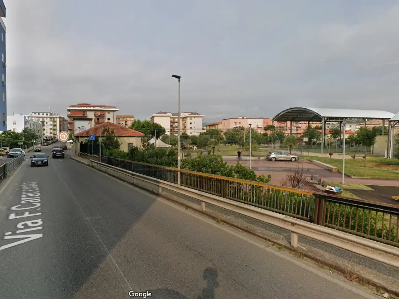Piante e fiori in Via F.Caracciolo, Catanzaro, {3} - Foto 1
