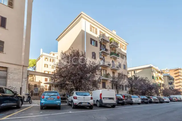 insertion image