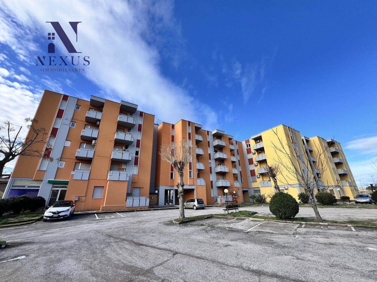 immagine annuncio 12 di 13