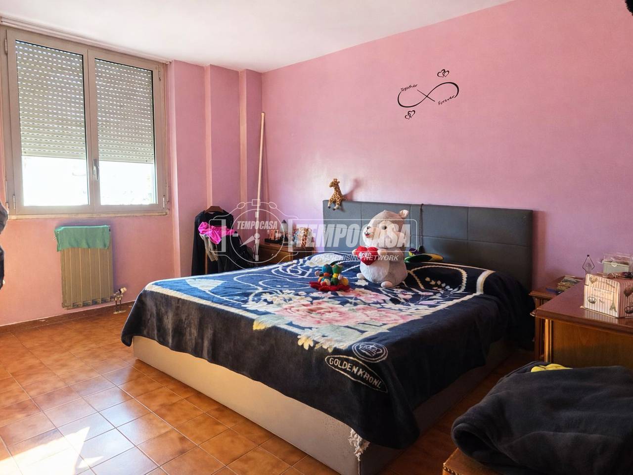 immagine annuncio 4 di 12