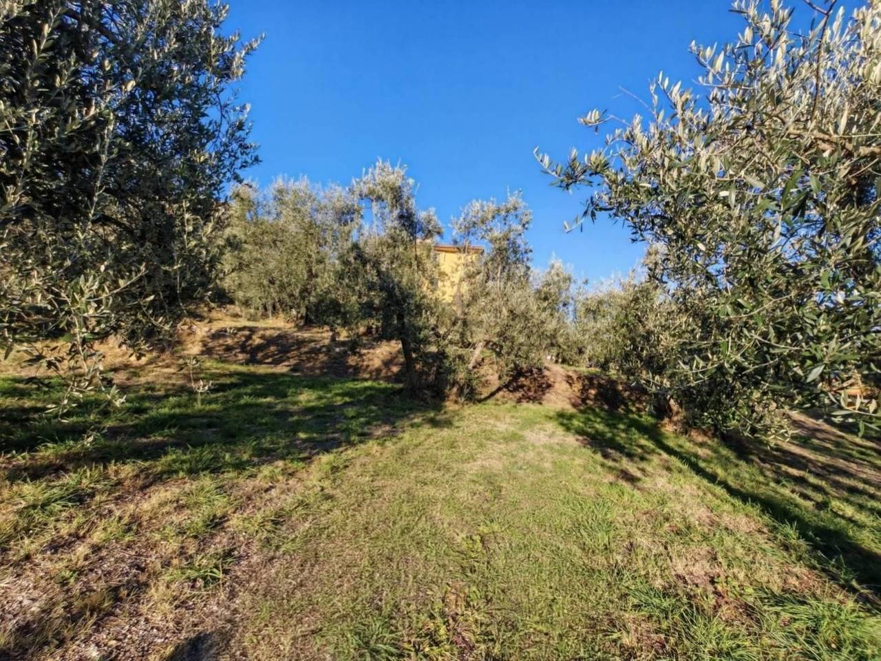 immagine annuncio 4 di 12