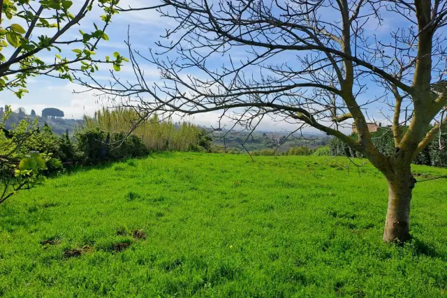 Terreno agricolo, Velletri - Foto 1