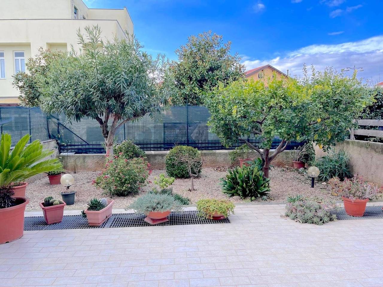 immagine annuncio 2 di 12