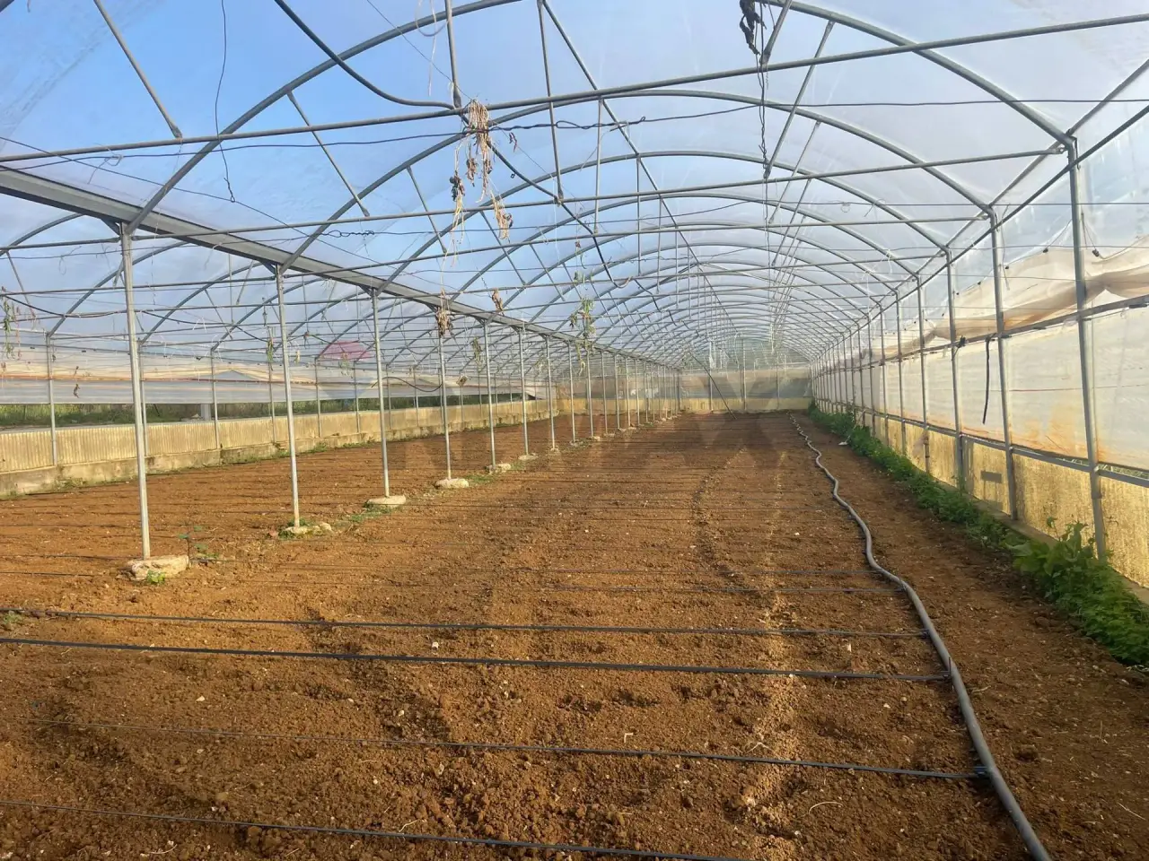 Azienda agricola in , Partinico, {3} - Foto 2