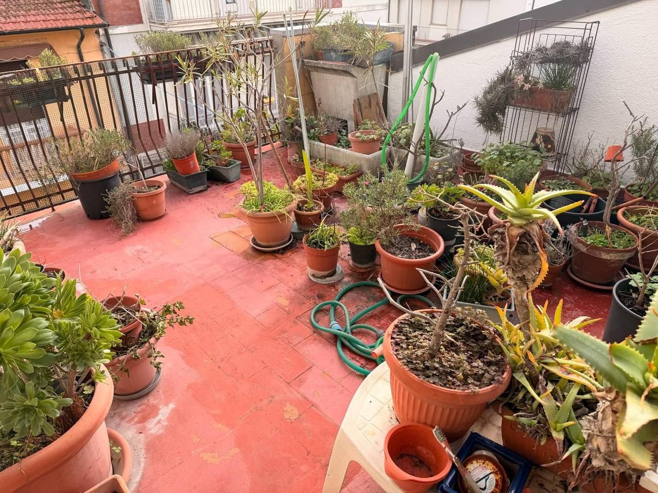 immagine annuncio 9 di 11