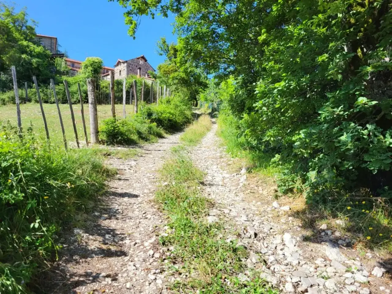 Azienda agricola in , Chiusi Della Verna, {3} - Foto 1