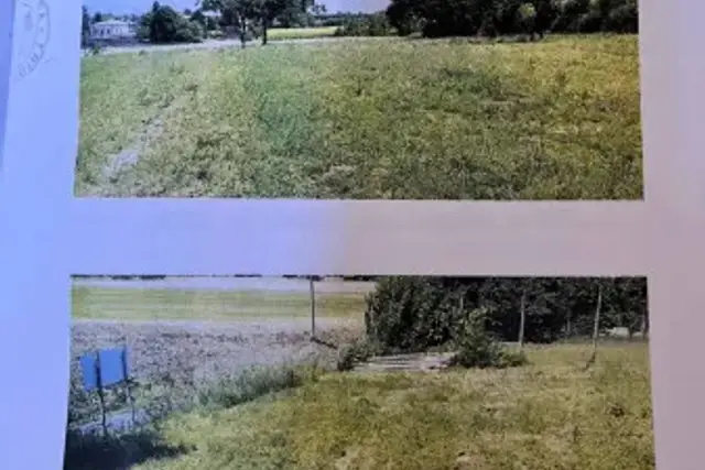 insertion image