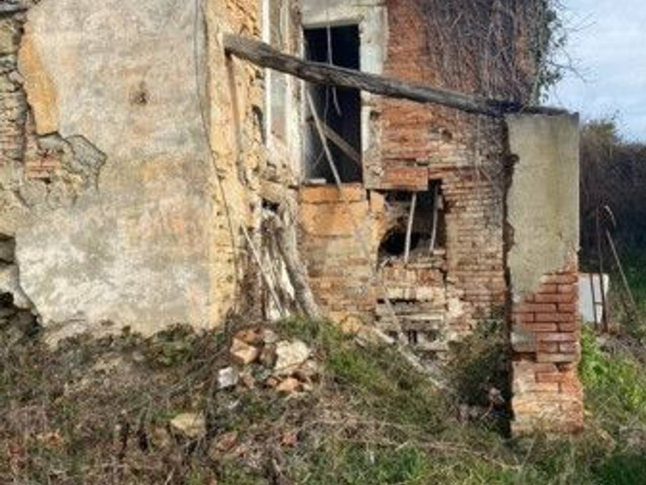 immagine annuncio 2 di 6