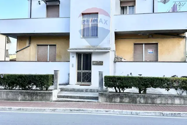 insertion image