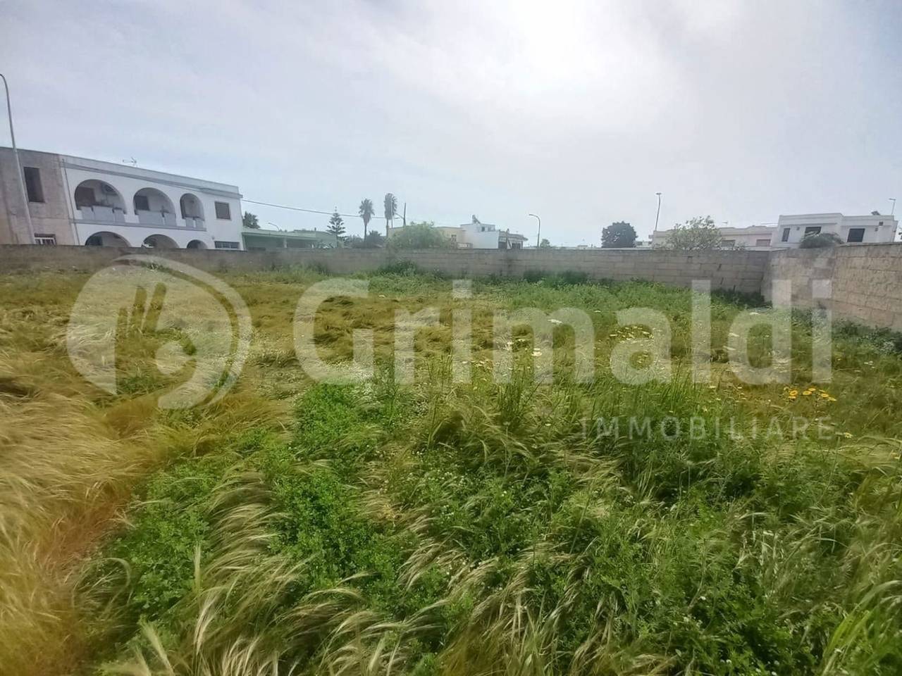 immagine annuncio 5 di 12