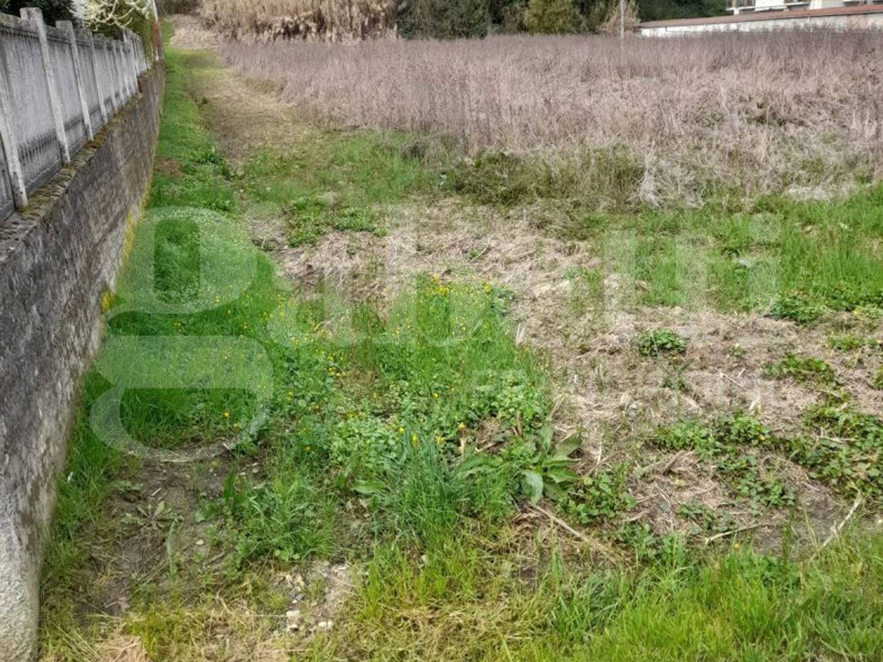 immagine annuncio 5 di 8