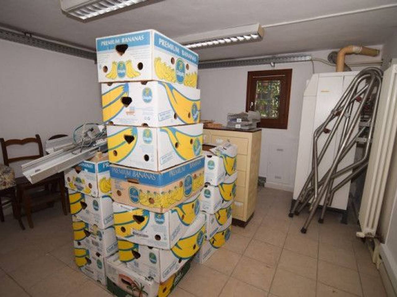 immagine annuncio 10 di 14