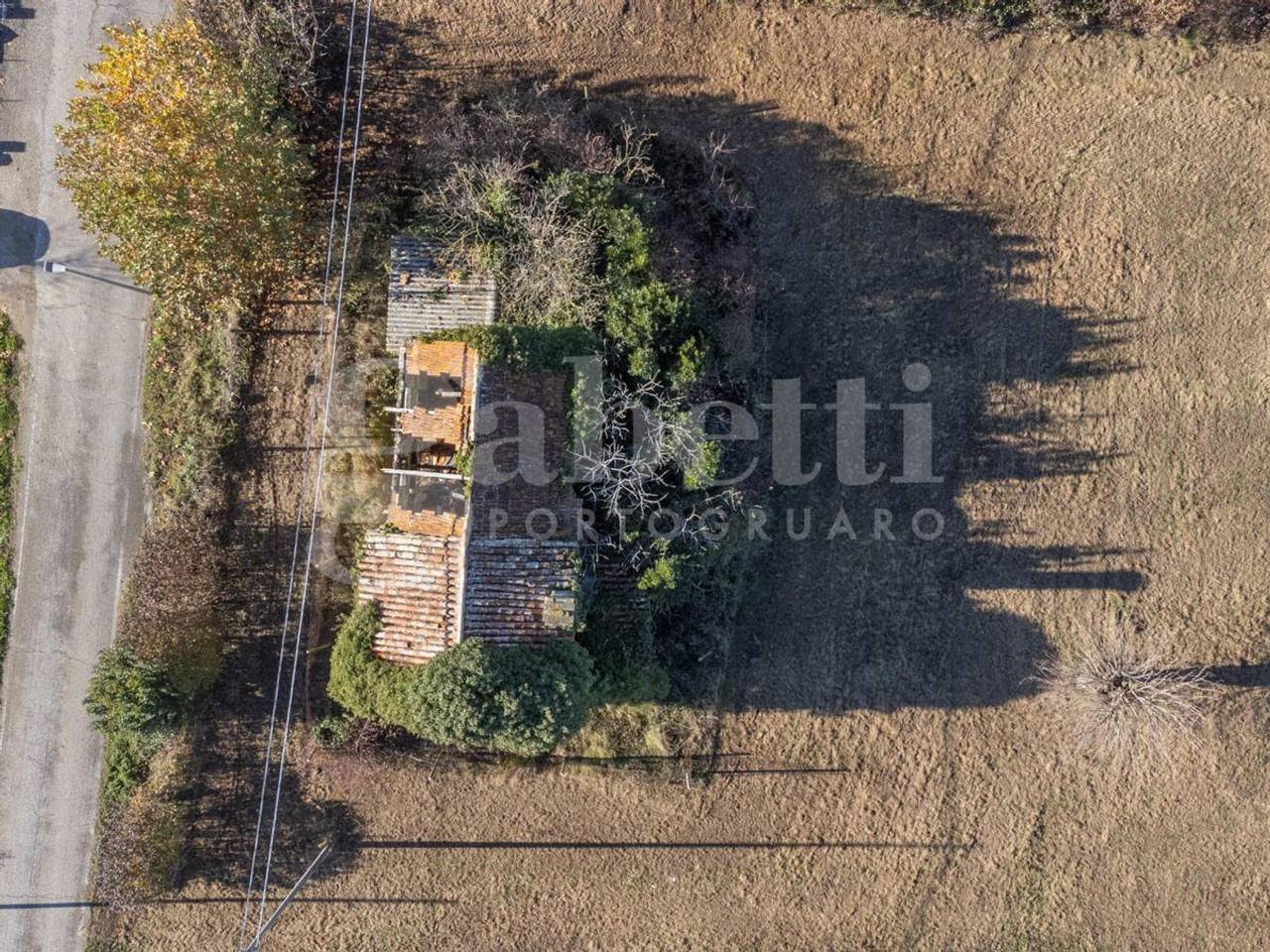 immagine annuncio 6 di 12