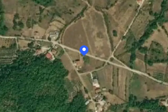 insertion image