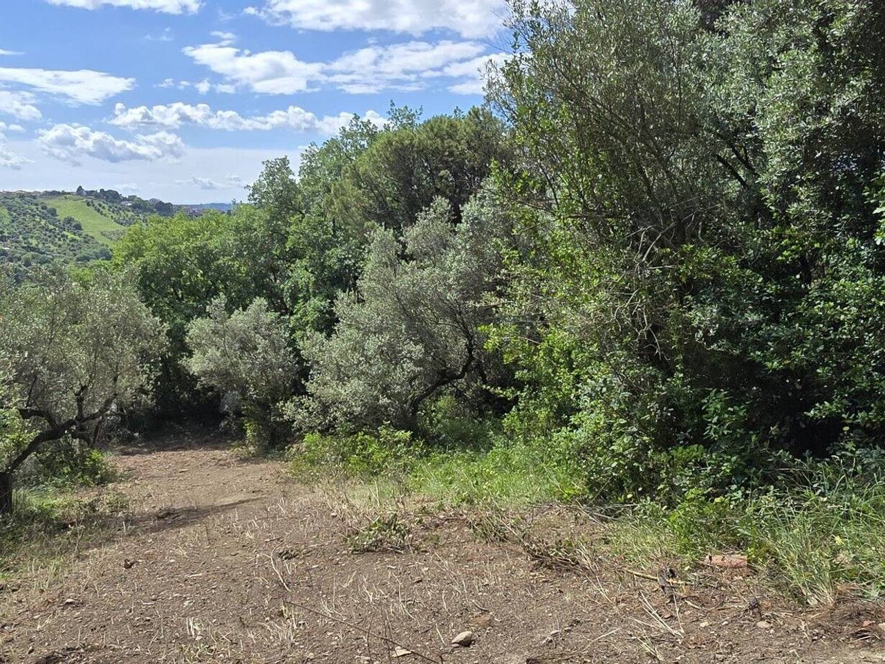 immagine annuncio 9 di 14