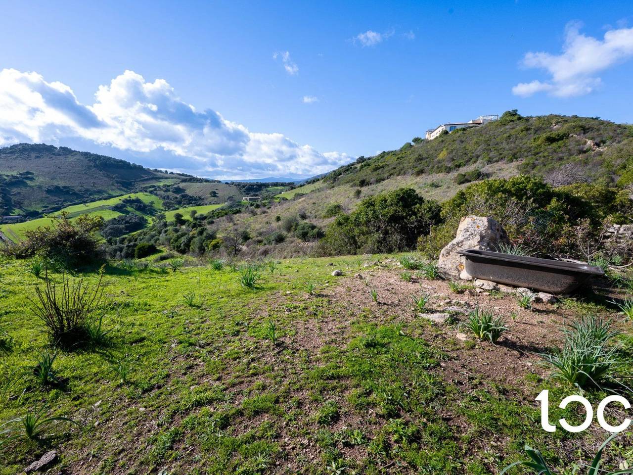 immagine annuncio 3 di 11