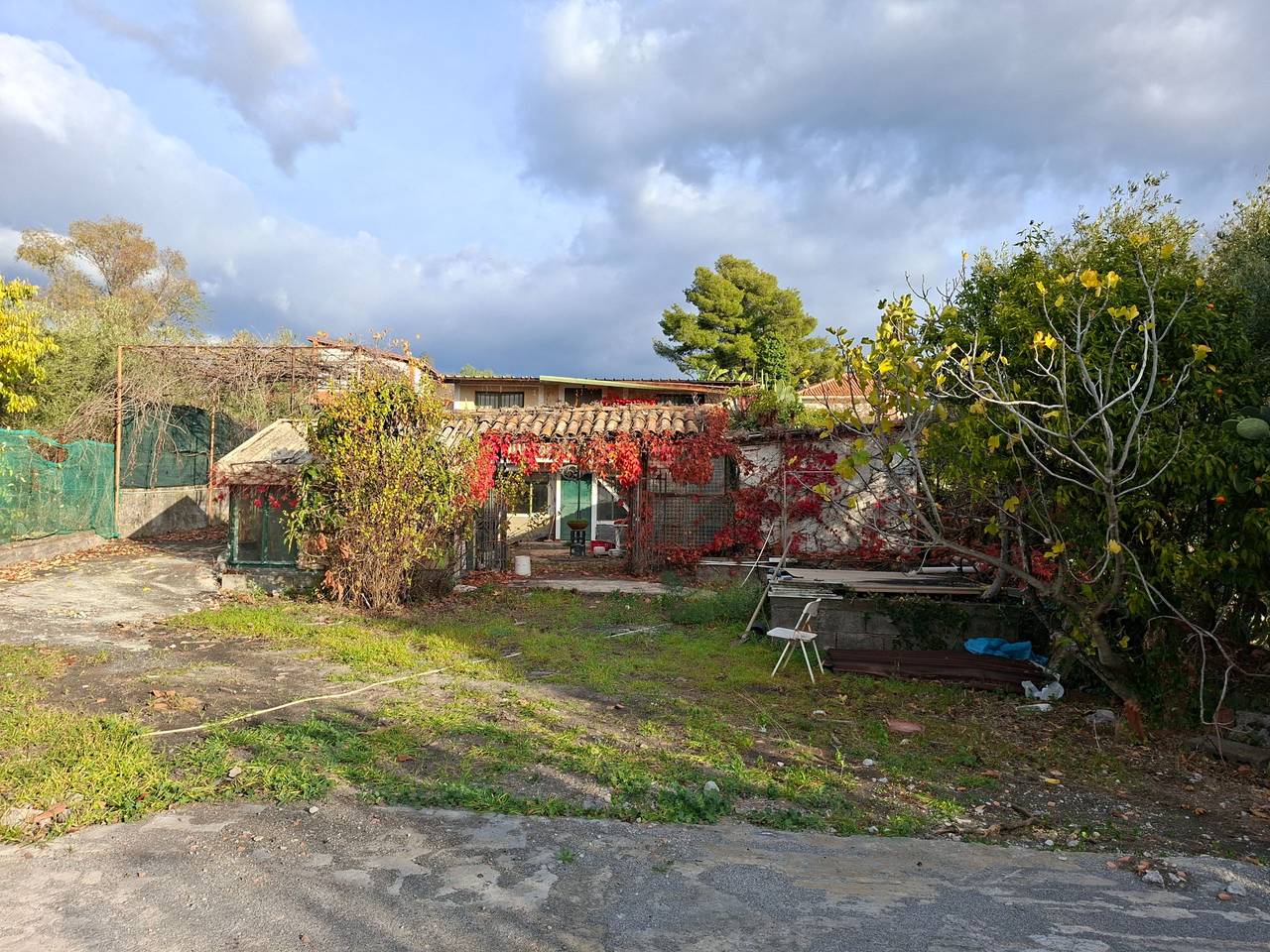 immagine annuncio 2 di 11