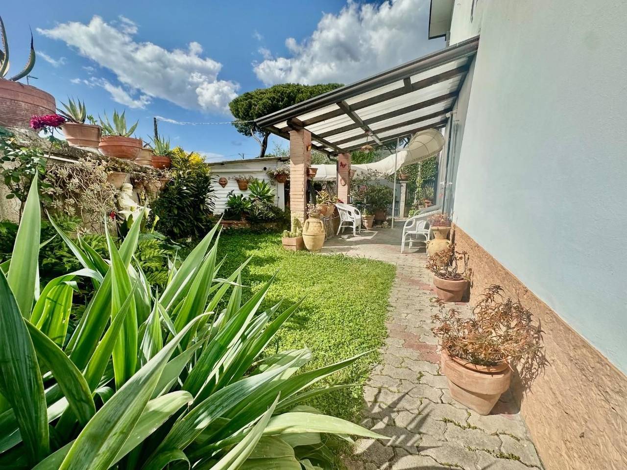 immagine annuncio 2 di 15