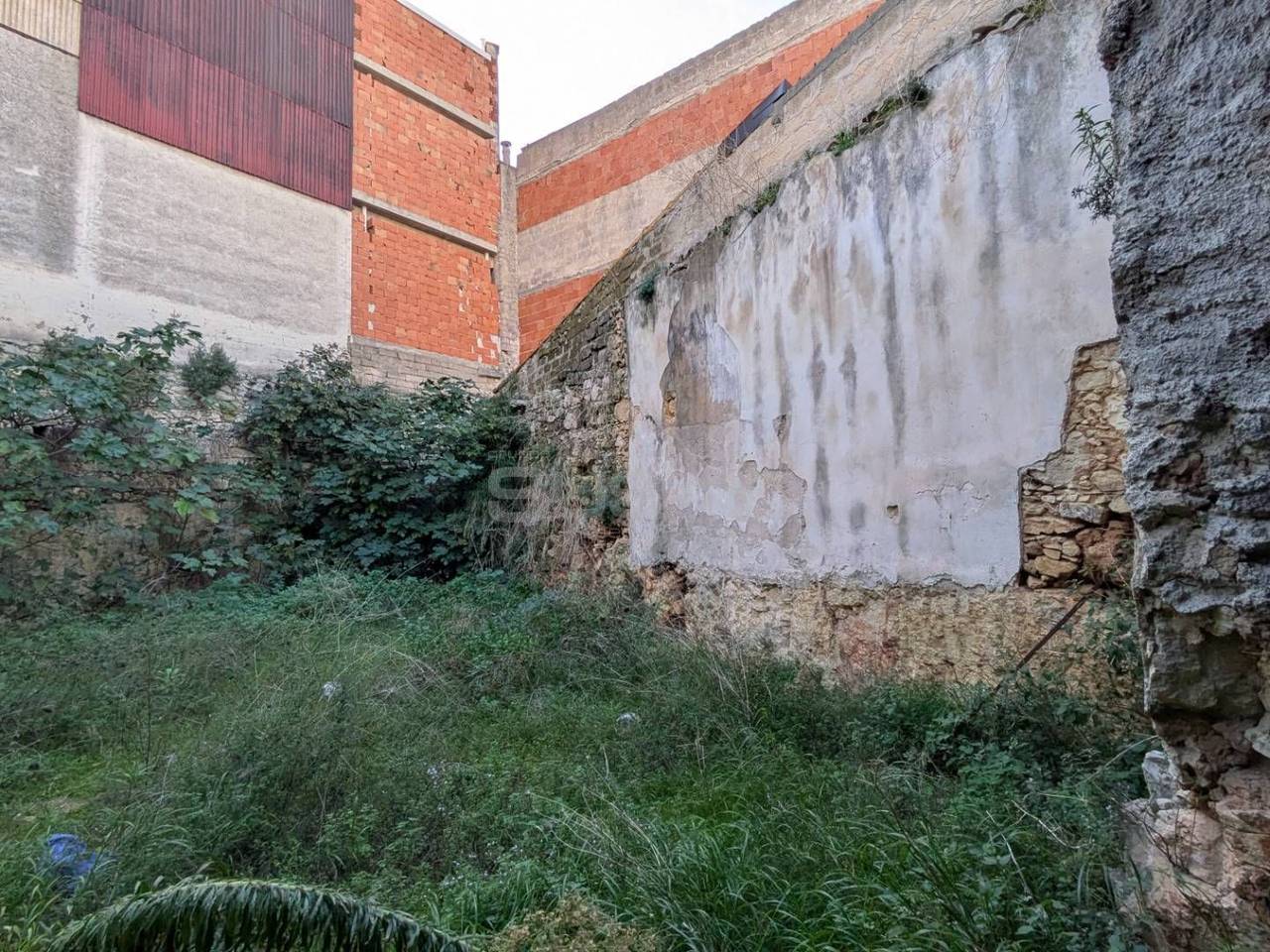 immagine annuncio 4 di 11