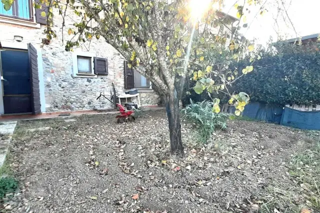 insertion image