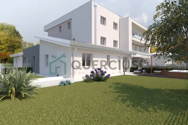 insertion image