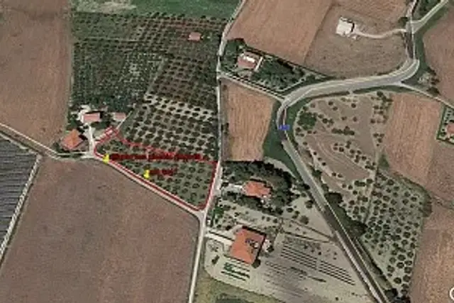 insertion image
