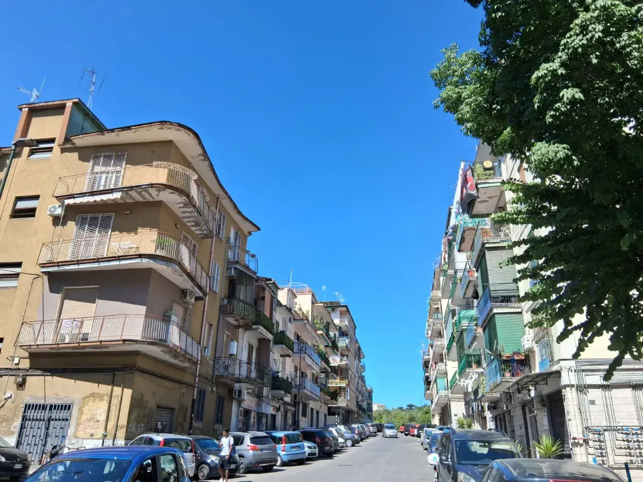 Negozio in Via Francesco Provenzale, Napoli, {3} - Foto 1