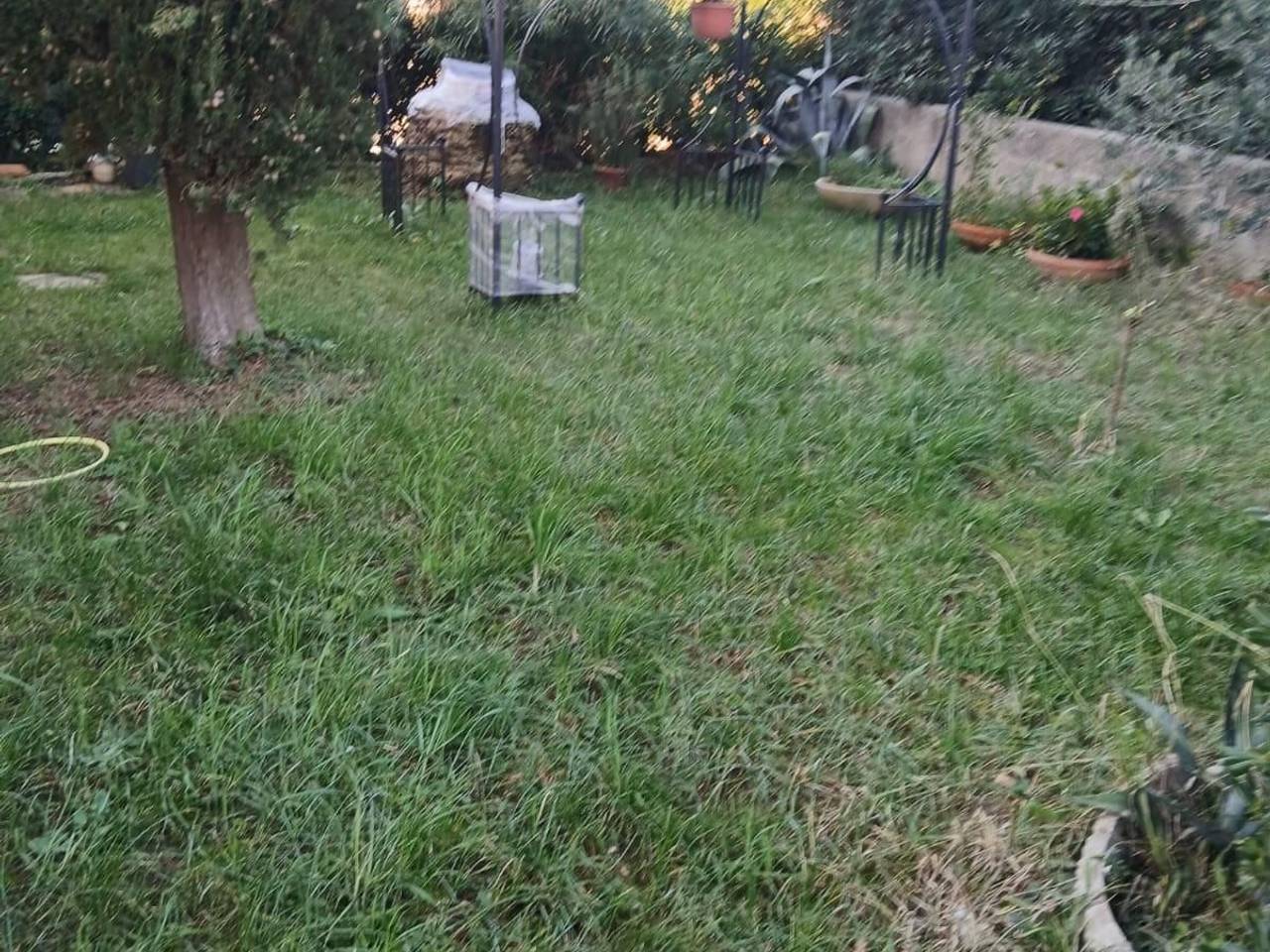 immagine annuncio 7 di 9