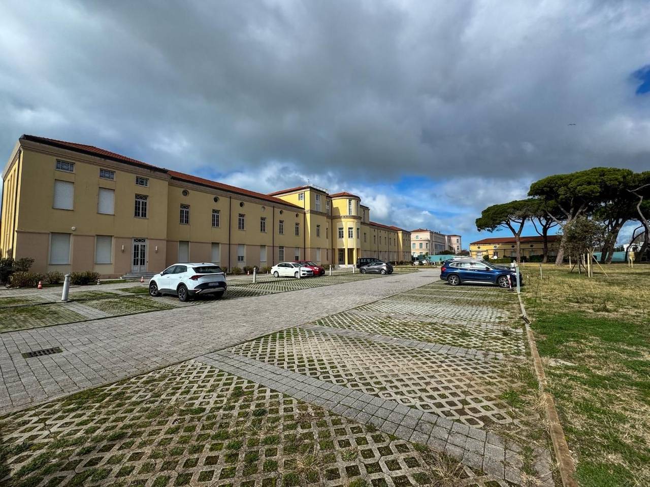 immagine annuncio 1 di 14