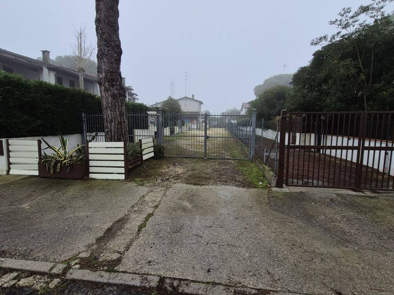 immagine annuncio 5 di 14