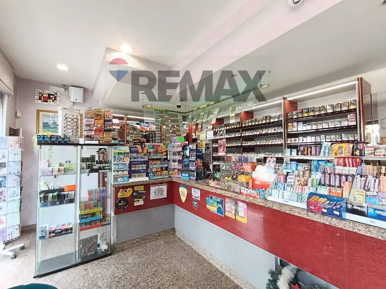 Esercizio commerciale in Via Adriatica 159, Francavilla Al Mare, {3} - Foto 2
