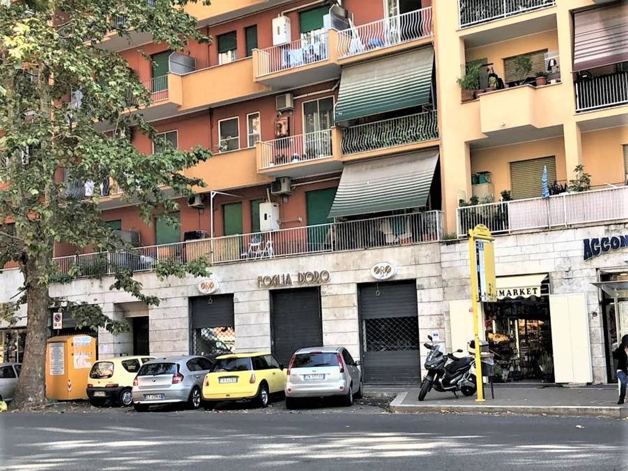 immagine annuncio 12 di 14