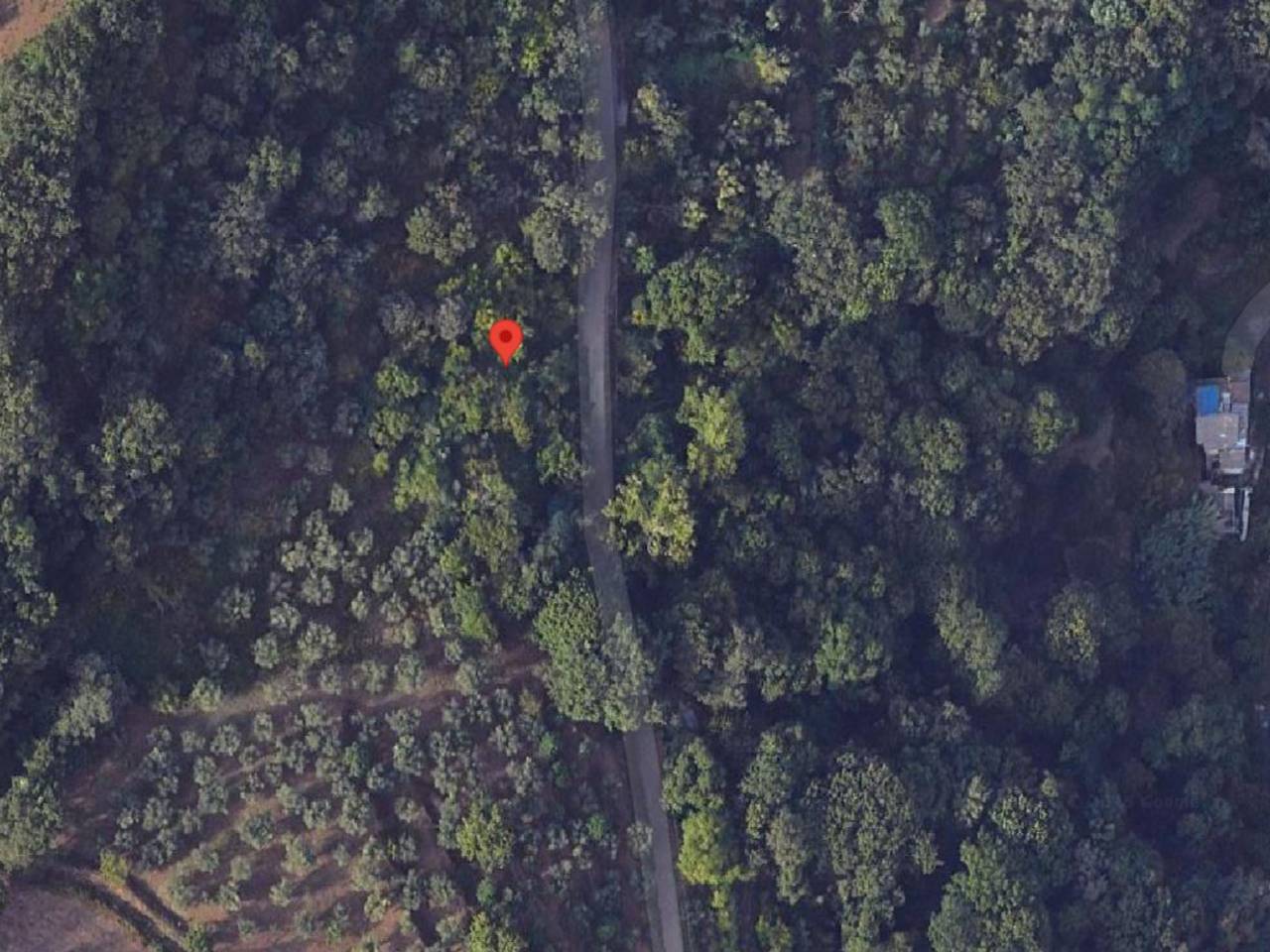 immagine annuncio 2 di 6