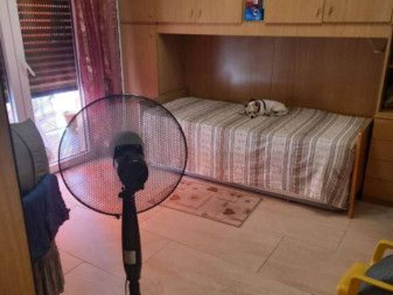 immagine annuncio 4 di 6