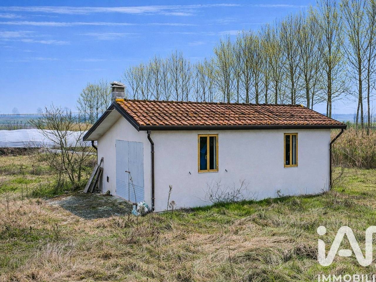 immagine annuncio 6 di 15