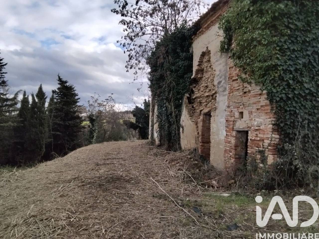 immagine annuncio 9 di 13