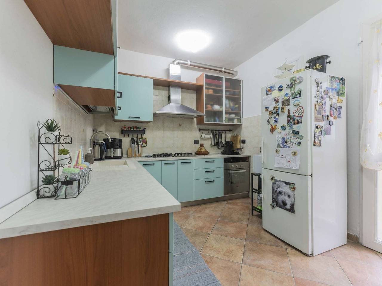 immagine annuncio 5 di 15